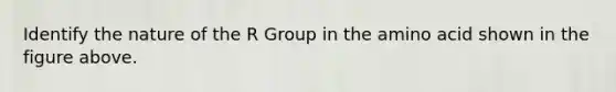 Identify the nature of the R Group in the amino acid shown in the figure above.