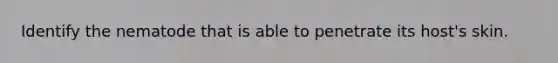 Identify the nematode that is able to penetrate its host's skin.