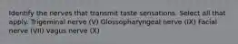 Identify the nerves that transmit taste sensations. Select all that apply. Trigeminal nerve (V) Glossopharyngeal nerve (IX) Facial nerve (VII) Vagus nerve (X)