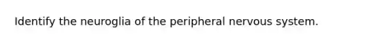 Identify the neuroglia of the peripheral nervous system.