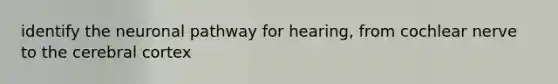 identify the neuronal pathway for hearing, from cochlear nerve to the cerebral cortex
