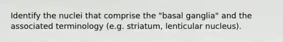 Identify the nuclei that comprise the "basal ganglia" and the associated terminology (e.g. striatum, lenticular nucleus).
