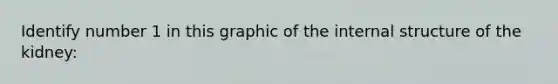 Identify number 1 in this graphic of the internal structure of the kidney:
