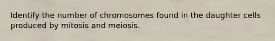 Identify the number of chromosomes found in the daughter cells produced by mitosis and meiosis.