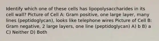 Identify which one of these cells has lipopolysaccharides in its cell wall? Picture of Cell A: Gram positive, one large layer, many lines (peptidoglycan), looks like telephone wires Picture of Cell B: Gram negative, 2 large layers, one line (peptidoglycan) A) b B) a C) Neither D) Both