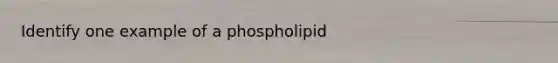 Identify one example of a phospholipid