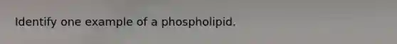 Identify one example of a phospholipid.