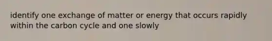 identify one exchange of matter or energy that occurs rapidly within the carbon cycle and one slowly