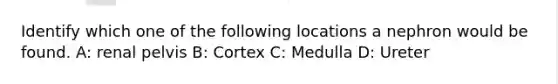 Identify which one of the following locations a nephron would be found. A: renal pelvis B: Cortex C: Medulla D: Ureter