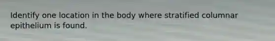 Identify one location in the body where stratified columnar epithelium is found.
