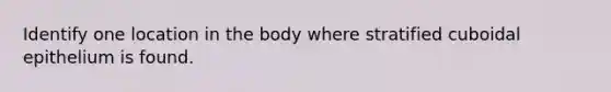 Identify one location in the body where stratified cuboidal epithelium is found.