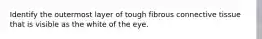 Identify the outermost layer of tough fibrous connective tissue that is visible as the white of the eye.