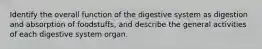 Identify the overall function of the digestive system as digestion and absorption of foodstuffs, and describe the general activities of each digestive system organ.