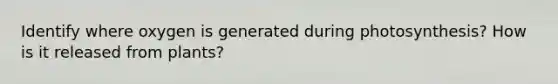 Identify where oxygen is generated during photosynthesis? How is it released from plants?