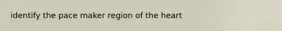 identify the pace maker region of the heart