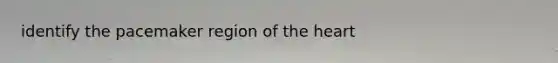 identify the pacemaker region of the heart