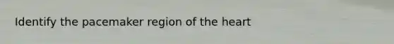 Identify the pacemaker region of the heart