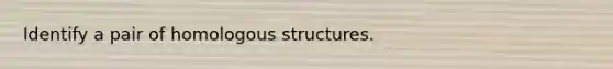 Identify a pair of homologous structures.