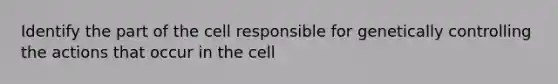 Identify the part of the cell responsible for genetically controlling the actions that occur in the cell