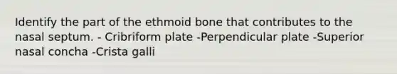 Identify the part of the ethmoid bone that contributes to the nasal septum. - Cribriform plate -Perpendicular plate -Superior nasal concha -Crista galli