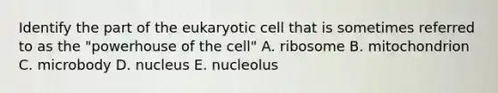 Identify the part of the eukaryotic cell that is sometimes referred to as the "powerhouse of the cell" A. ribosome B. mitochondrion C. microbody D. nucleus E. nucleolus