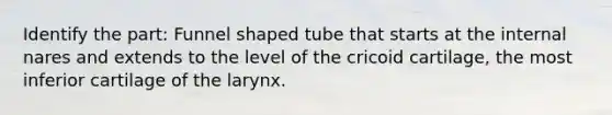 Identify the part: Funnel shaped tube that starts at the internal nares and extends to the level of the cricoid cartilage, the most inferior cartilage of the larynx.