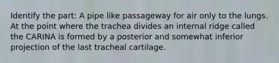 Identify the part: A pipe like passageway for air only to the lungs. At the point where the trachea divides an internal ridge called the CARINA is formed by a posterior and somewhat inferior projection of the last tracheal cartilage.