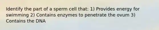 Identify the part of a sperm cell that: 1) Provides energy for swimming 2) Contains enzymes to penetrate the ovum 3) Contains the DNA