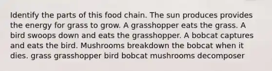 Identify the parts of this food chain. The sun produces provides the energy for grass to grow. A grasshopper eats the grass. A bird swoops down and eats the grasshopper. A bobcat captures and eats the bird. Mushrooms breakdown the bobcat when it dies. grass grasshopper bird bobcat mushrooms decomposer