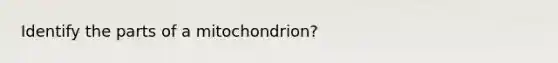 Identify the parts of a mitochondrion?