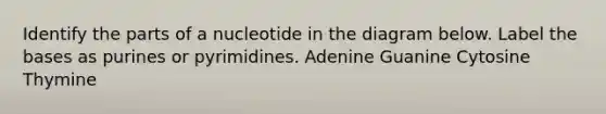 Identify the parts of a nucleotide in the diagram below. Label the bases as purines or pyrimidines. Adenine Guanine Cytosine Thymine