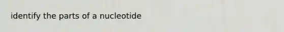 identify the parts of a nucleotide