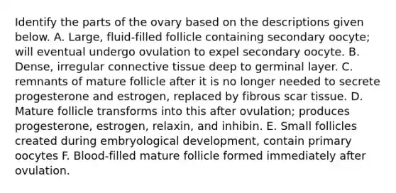 Identify the parts of the ovary based on the descriptions given below. A. Large, fluid-filled follicle containing secondary oocyte; will eventual undergo ovulation to expel secondary oocyte. B. Dense, irregular connective tissue deep to germinal layer. C. remnants of mature follicle after it is no longer needed to secrete progesterone and estrogen, replaced by fibrous scar tissue. D. Mature follicle transforms into this after ovulation; produces progesterone, estrogen, relaxin, and inhibin. E. Small follicles created during embryological development, contain primary oocytes F. Blood-filled mature follicle formed immediately after ovulation.