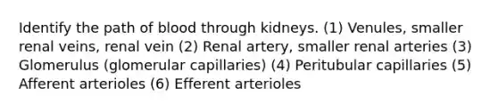 Identify the path of blood through kidneys. (1) Venules, smaller renal veins, renal vein (2) Renal artery, smaller renal arteries (3) Glomerulus (glomerular capillaries) (4) Peritubular capillaries (5) Afferent arterioles (6) Efferent arterioles