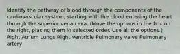 Identify the pathway of blood through the components of the cardiovascular system, starting with the blood entering the heart through the superior vena cava. (Move the options in the box on the right, placing them in selected order. Use all the options.) Right Atrium Lungs Right Ventricle Pulmonary valve Pulmonary artery