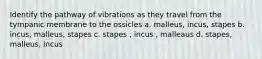 Identify the pathway of vibrations as they travel from the tympanic membrane to the ossicles a. malleus, incus, stapes b. incus, malleus, stapes c. stapes , incus , malleaus d. stapes, malleus, incus