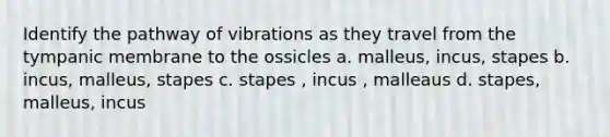 Identify the pathway of vibrations as they travel from the tympanic membrane to the ossicles a. malleus, incus, stapes b. incus, malleus, stapes c. stapes , incus , malleaus d. stapes, malleus, incus