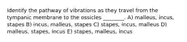 Identify the pathway of vibrations as they travel from the tympanic membrane to the ossicles ________. A) malleus, incus, stapes B) incus, malleus, stapes C) stapes, incus, malleus D) malleus, stapes, incus E) stapes, malleus, incus