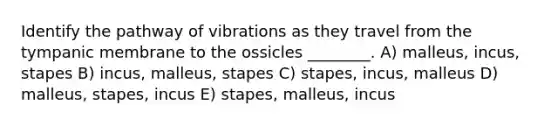 Identify the pathway of vibrations as they travel from the tympanic membrane to the ossicles ________. A) malleus, incus, stapes B) incus, malleus, stapes C) stapes, incus, malleus D) malleus, stapes, incus E) stapes, malleus, incus