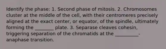 Identify the phase: 1. Second phase of mitosis. 2. Chromosomes cluster at the middle of the cell, with their centromeres precisely aligned at the exact center, or equator, of the spindle, ultimately forming the ________ plate. 3. Separase cleaves cohesin, triggering separation of the chromatids at the __________-anaphase transition.