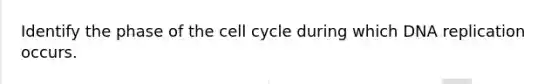 Identify the phase of the cell cycle during which DNA replication occurs.