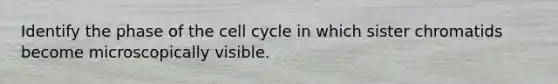 Identify the phase of the cell cycle in which sister chromatids become microscopically visible.