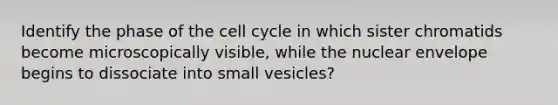 Identify the phase of the cell cycle in which sister chromatids become microscopically visible, while the nuclear envelope begins to dissociate into small vesicles?