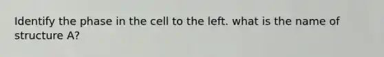 Identify the phase in the cell to the left. what is the name of structure A?