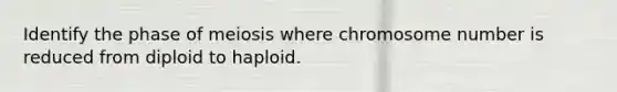 Identify the phase of meiosis where chromosome number is reduced from diploid to haploid.