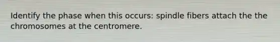 Identify the phase when this occurs: spindle fibers attach the the chromosomes at the centromere.