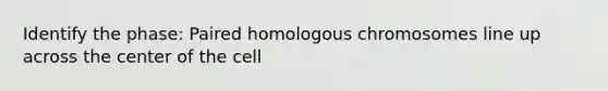 Identify the phase: Paired homologous chromosomes line up across the center of the cell