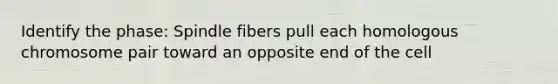 Identify the phase: Spindle fibers pull each homologous chromosome pair toward an opposite end of the cell