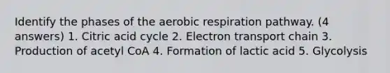 Identify the phases of the aerobic respiration pathway. (4 answers) 1. Citric acid cycle 2. Electron transport chain 3. Production of acetyl CoA 4. Formation of lactic acid 5. Glycolysis