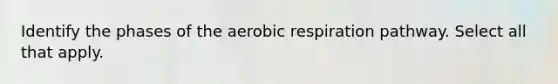 Identify the phases of the aerobic respiration pathway. Select all that apply.